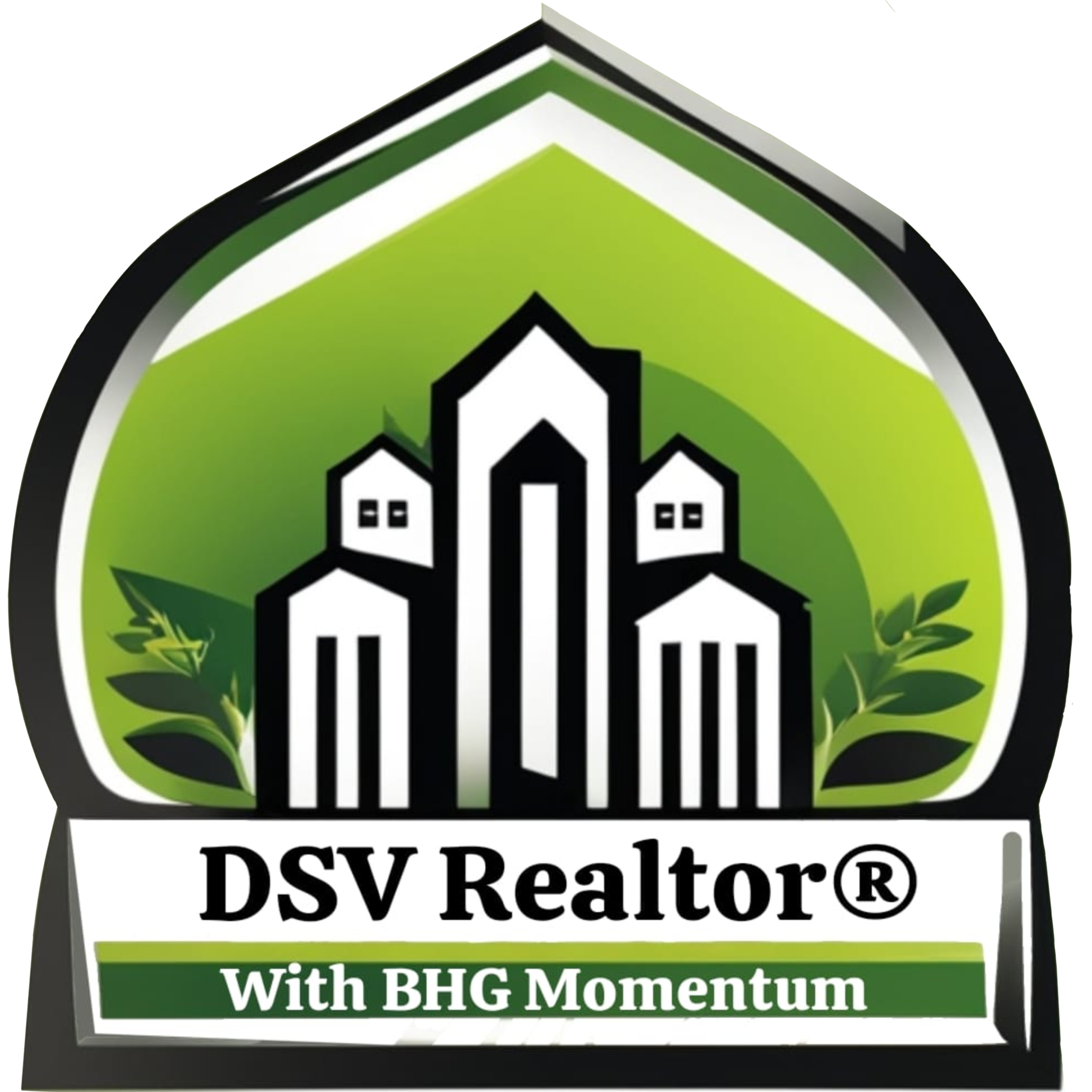 DSV Realtor